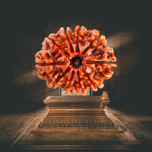 10 Mukhi Abhimantrit Rudraksha