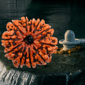 11 Mukhi Abhimantrit Rudraksha