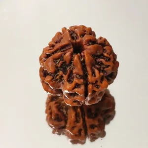 4 Mukhi Abhimantrit Rudraksha