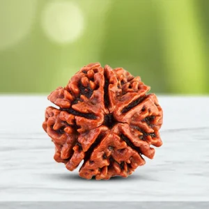 5 Mukhi Abhimantrit Rudraksha