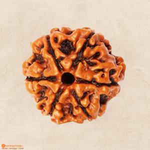 6 Mukhi Abhimantrit Rudraksha