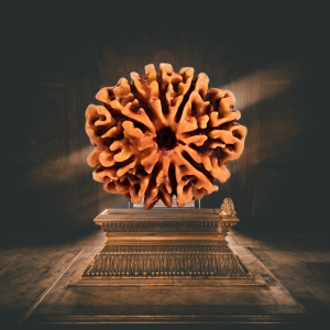 9 Mukhi Abhimantrit Rudraksha